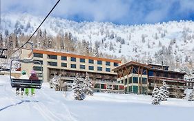 Alta's Rustler